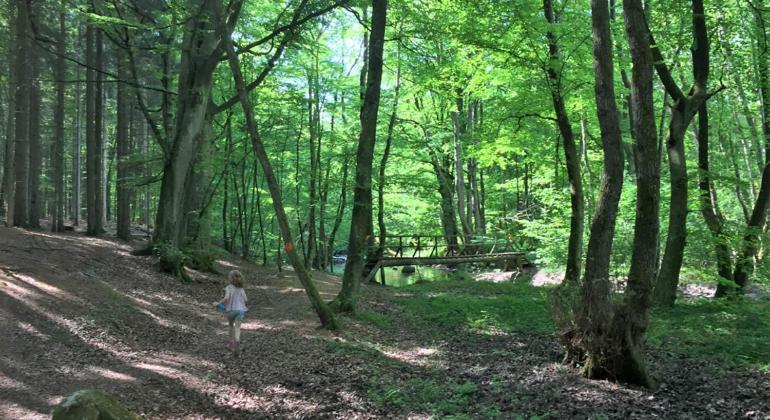 Gaesthus I Naturskoent Laege Genarp エクステリア 写真