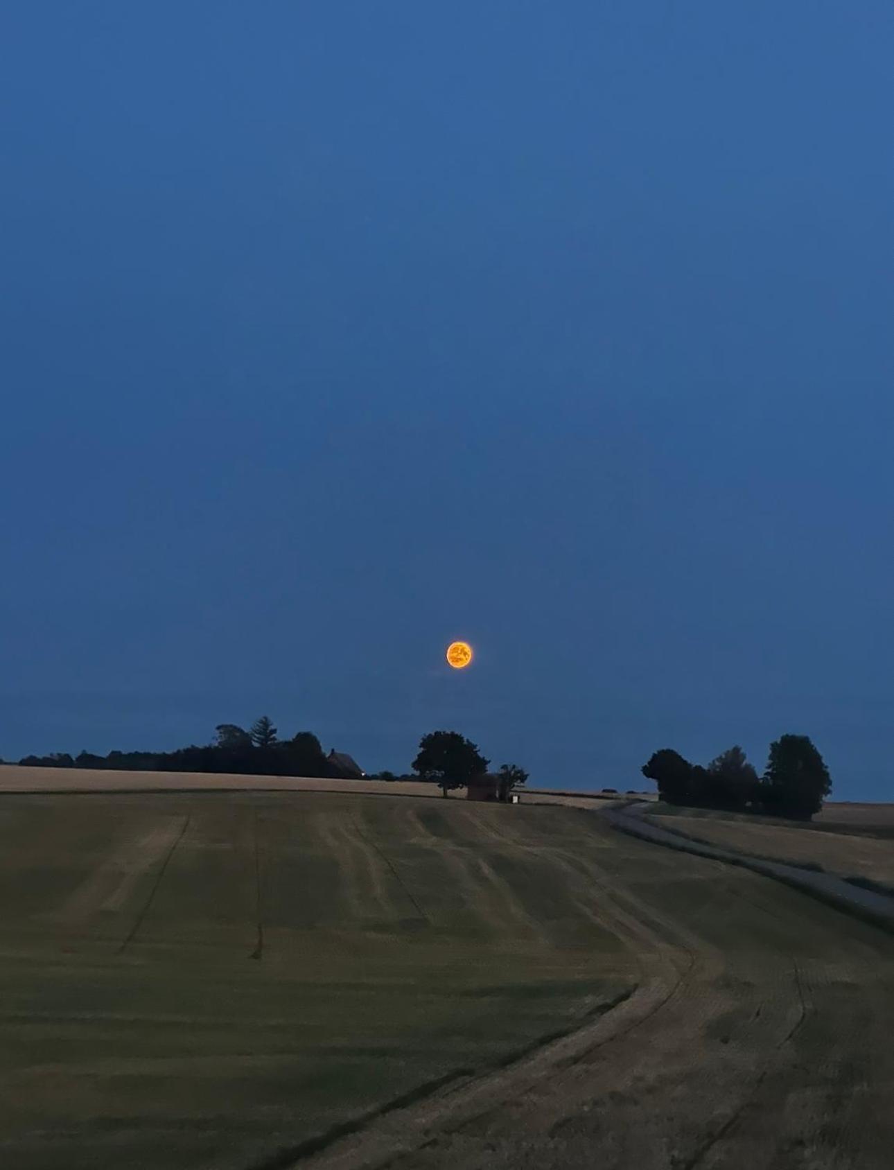 Gaesthus I Naturskoent Laege Genarp エクステリア 写真